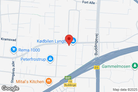 Gammelmosevej 125, 2800